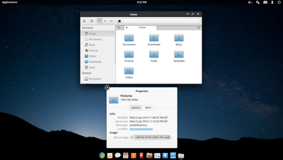 File manager and properties window on elementaryOS desktop